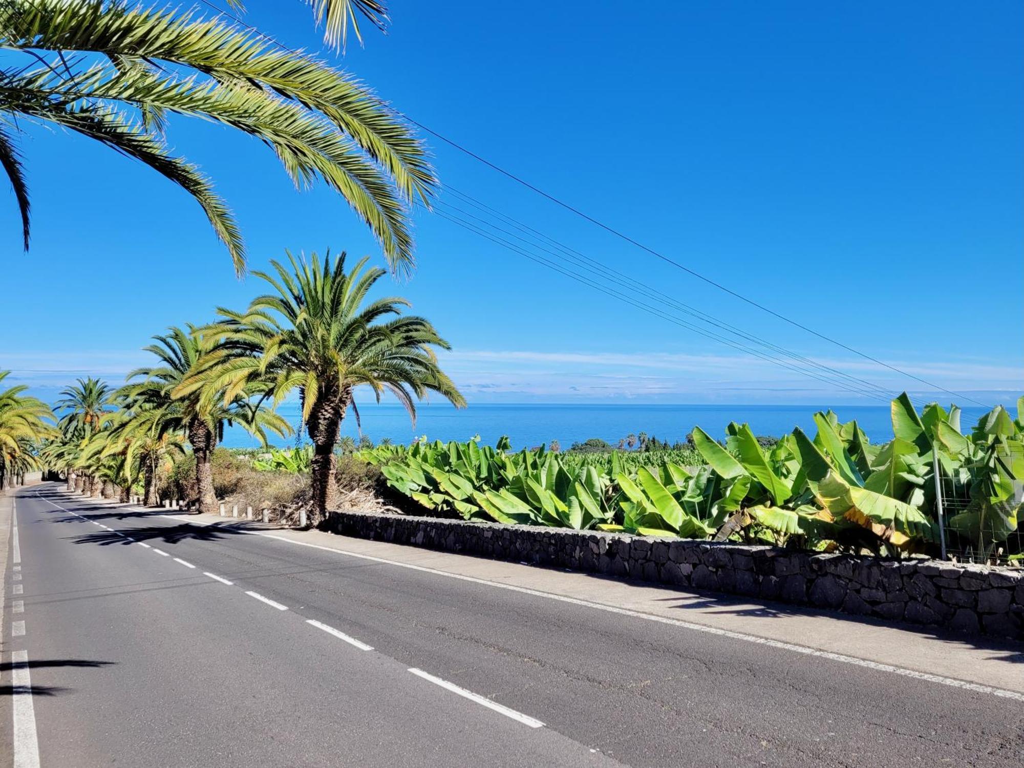 Casa Rural - Playa. Situada En Un Entorno Natural. La Orotava Eksteriør bilde
